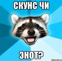 скунс чи энот?