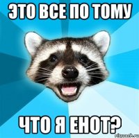 это все по тому что я енот?