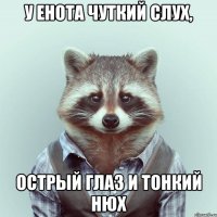 у енота чуткий слух, острый глаз и тонкий нюх