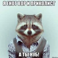 я енот вор и приколист а ты нуб!