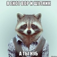 я енот вор и шутник а ты нуб