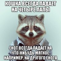 кошка всегда падает на четыре лапы енот всегда падает на что-нибудь мягкое. например, на другого енота