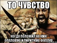 то чувство когда положил на кмн опаловую и пиритную фуллку