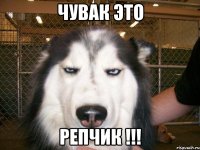 чувак это репчик !!!