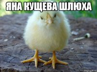 яна кущева шлюха 