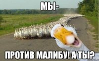 мы- против малибу! а ты?