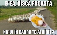 b*ea, gîscă proastă na*ui în cadru te-ai vîrît?