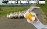 добавляйте свои новости!!! 