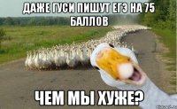 даже гуси пишут егэ на 75 баллов чем мы хуже?