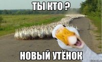 ты кто ? новый утёнок