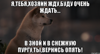 я,тебя,хозяин жду,буду очень ждать... в зной и в снежную пургу,ты,вернись опять!