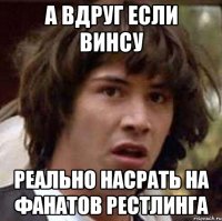 а вдруг если винсу реально насрать на фанатов рестлинга