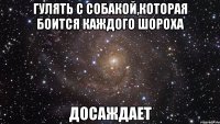 гулять с собакой,которая боится каждого шороха досаждает