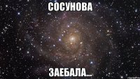 сосунова заебала...