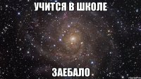 учится в школе заебало