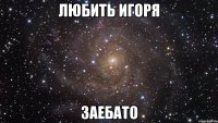 любить игоря заебато