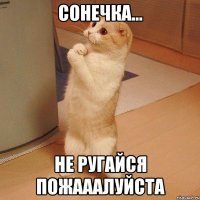 сонечка... не ругайся пожааалуйста