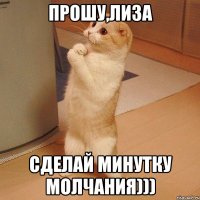 прошу,лиза сделай минутку молчания)))