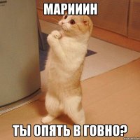 марииин ты опять в говно?