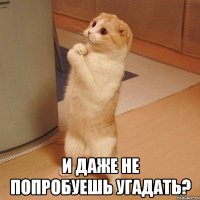  и даже не попробуешь угадать?