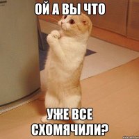 ой а вы что уже все схомячили?