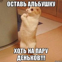 оставь альбушку хоть на пару деньков!!!