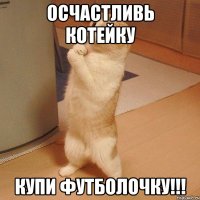 осчастливь котейку купи футболочку!!!