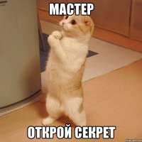 мастер открой секрет