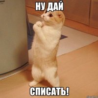 ну дай списать!