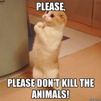 please, please don't kill the animals!