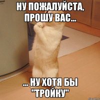 ну пожалуйста, прошу вас... ... ну хотя бы "тройку"