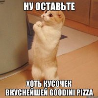 ну оставьте хоть кусочек вкуснейшей goodini pizza