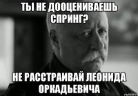 ты не дооцениваешь спринг? не расстраивай леонида оркадьевича