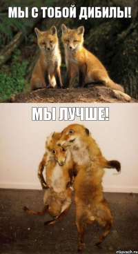 Мы с тобой дибилы! Мы лучше!