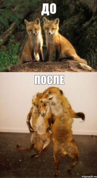 до после