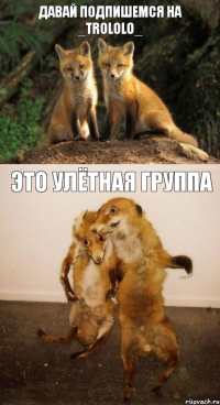 давай подпишемся на _Trololo_ Это улётная группа