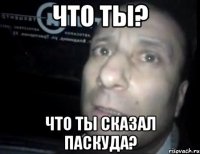 что ты? что ты сказал паскуда?