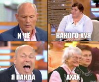 Какого хуя и чё я панда АХАХ