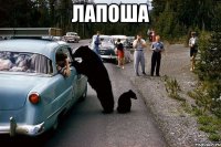 лапоша 