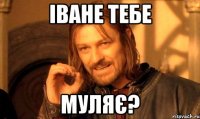 іване тебе муляє?