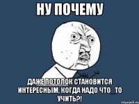 ну почему даже потолок становится интересным, когда надо что_то учить?!