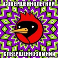 совершеннолетний слвершеннозимний