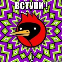 вступи ! ↓