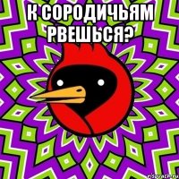 к сородичьям рвешься? 