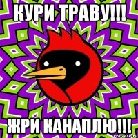 кури траву!!! жри канаплю!!!