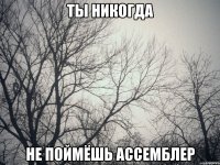 ты никогда не поймёшь ассемблер