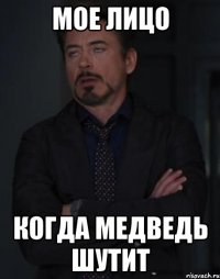 мое лицо когда медведь шутит