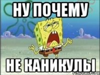 ну почему не каникулы