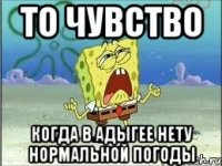 то чувство когда в адыгее нету нормальной погоды