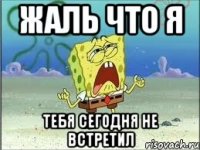 жаль что я тебя сегодня не встретил